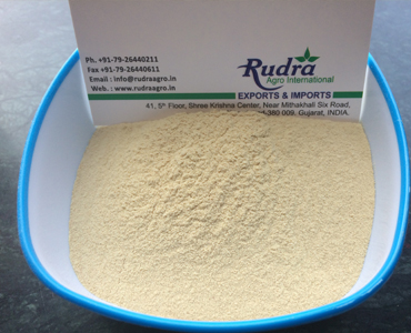 CASSIA TORA GUM POWDER