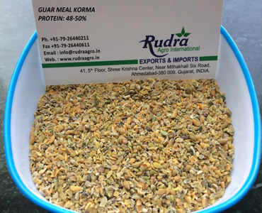 GUAR MEAL KORMA (GUAR KORMA)