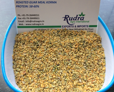 ROASTED GUAR MEAL KORMA